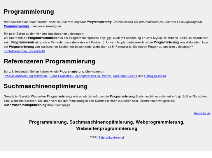 www.programmierung-heidig.de