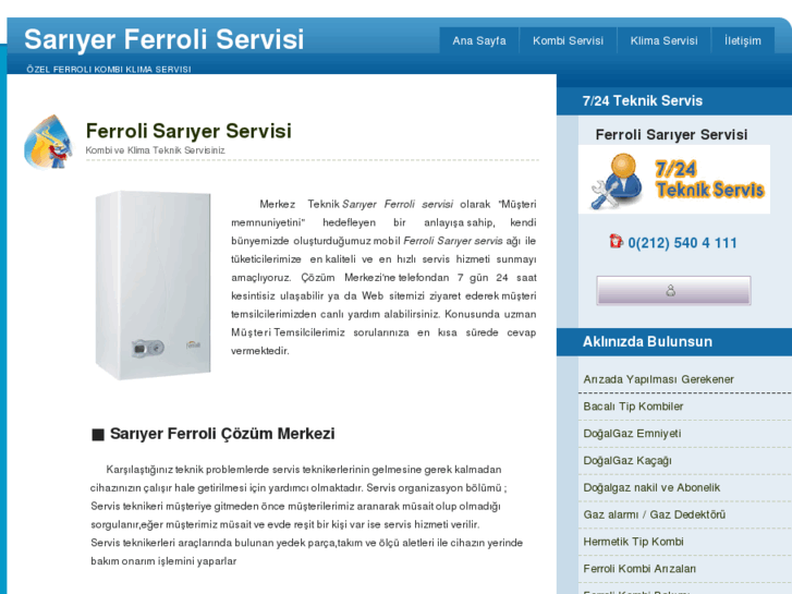 www.sariyerferroliservisi.com