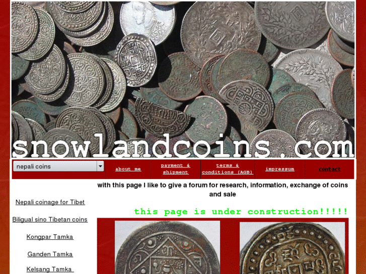 www.snowlandcoins.com