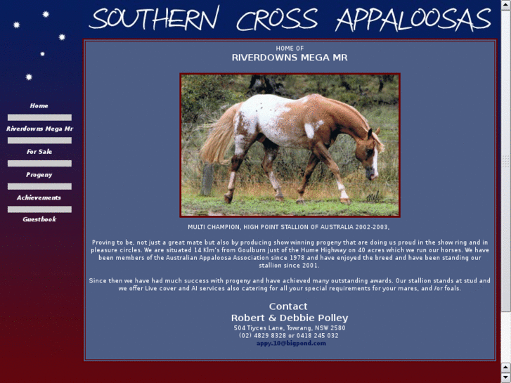 www.southerncrossappaloosas.com