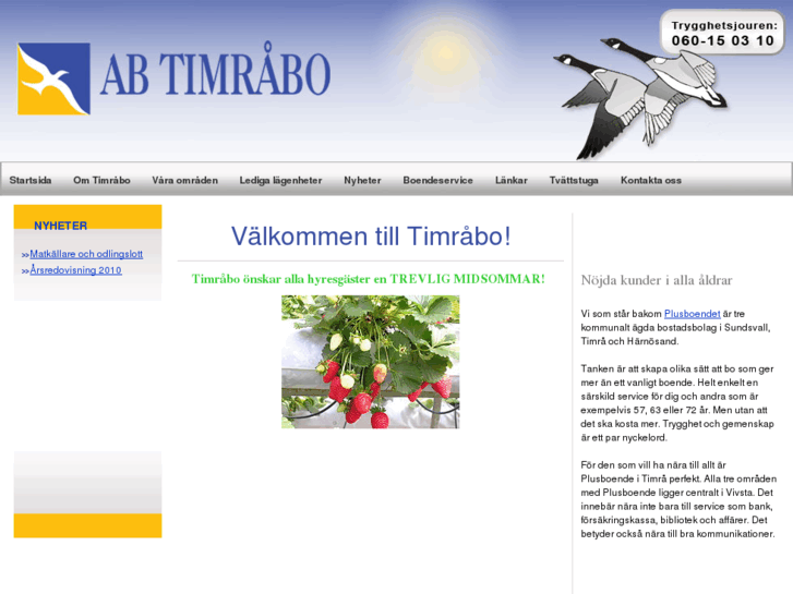 www.timrabo.com