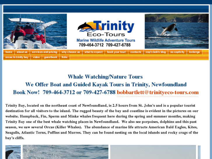 www.trinityeco-tours.com