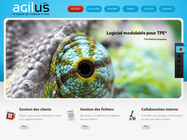 www.agilus.net