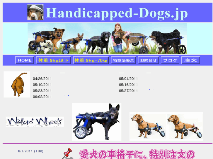 www.handicapped-dogs.jp