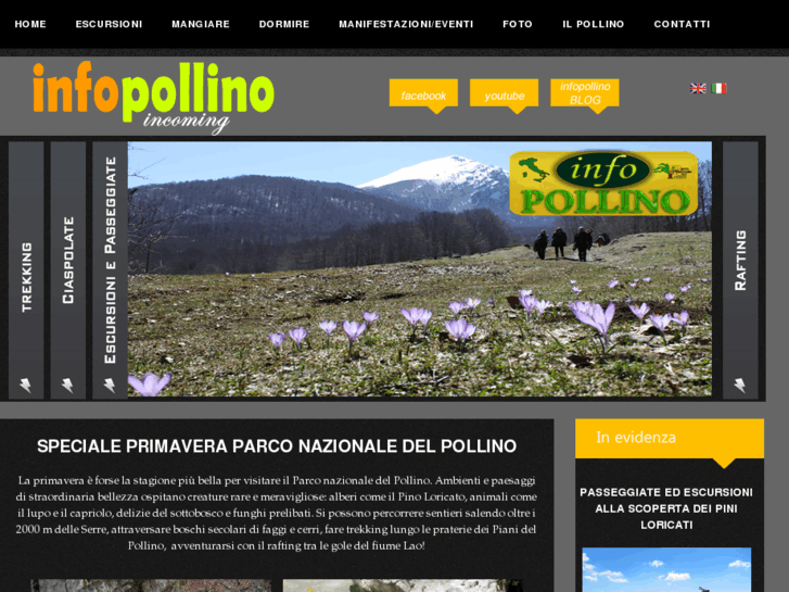 www.infopollino.com