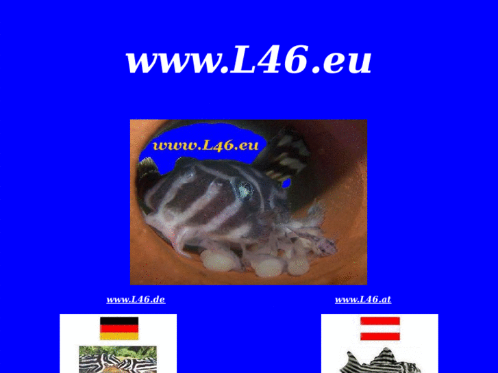 www.l46.eu