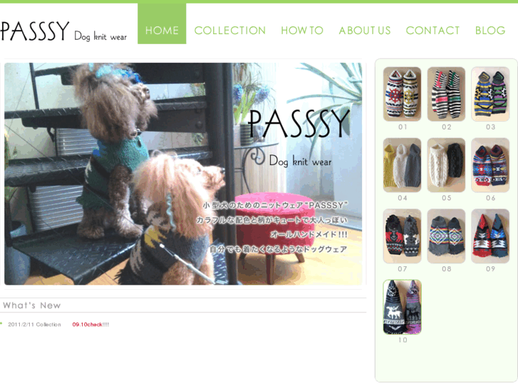 www.passsy.com