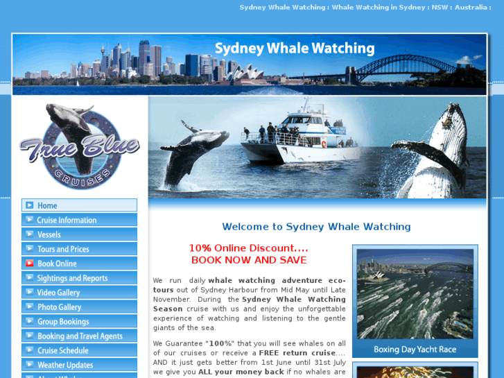 www.sydneywhalewatching.com