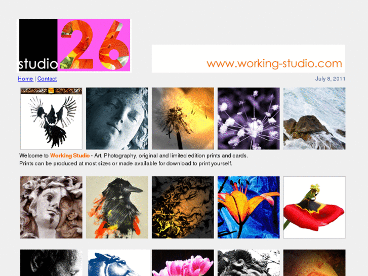 www.working-studio.com