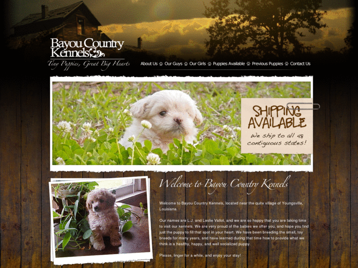 www.bayoucountrykennels.com