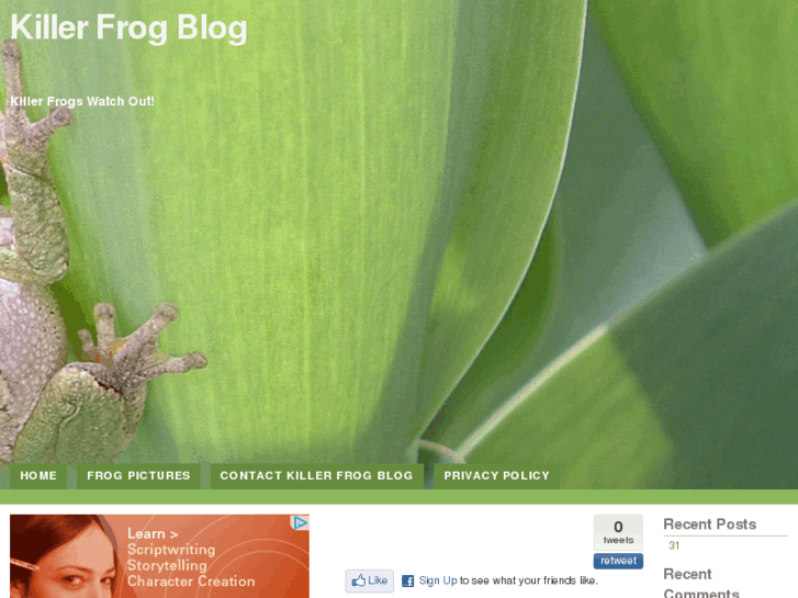 www.killerfrogblog.com