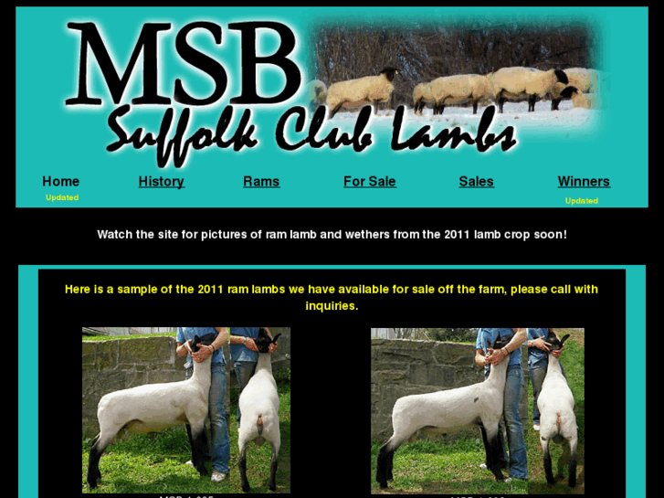 www.msbsuffolks.com