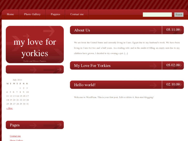 www.myloveforyorkies.com