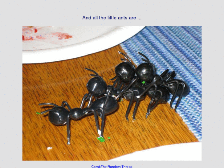 www.randomthread.com