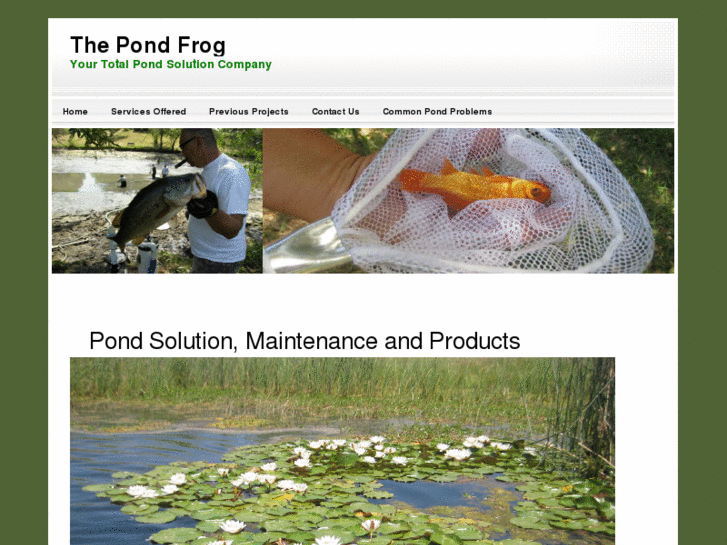 www.thepondfrog.com