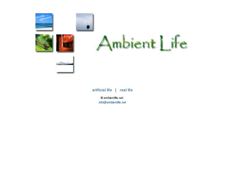 www.ambientlife.net