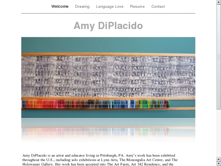 www.amydiplacido.com