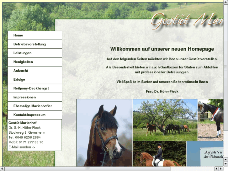 www.gestuet-marienhof.com