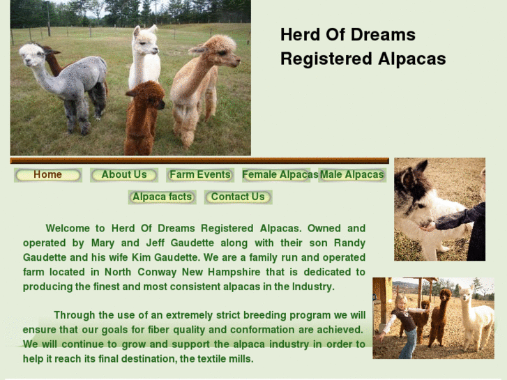 www.herdofdreamsalpacas.com