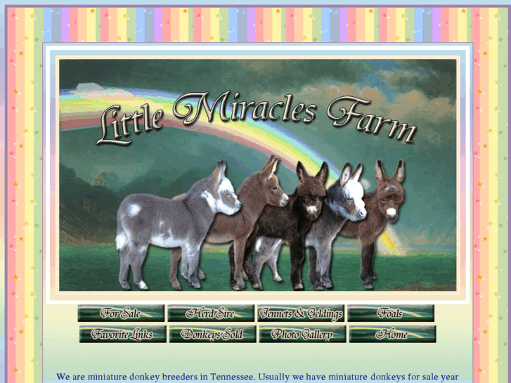 www.littlemiraclesdonkeys.com