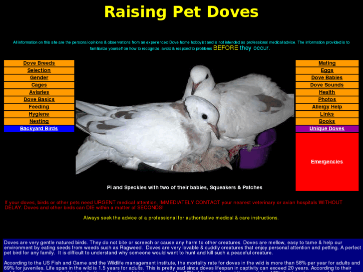 www.pet-doves.com