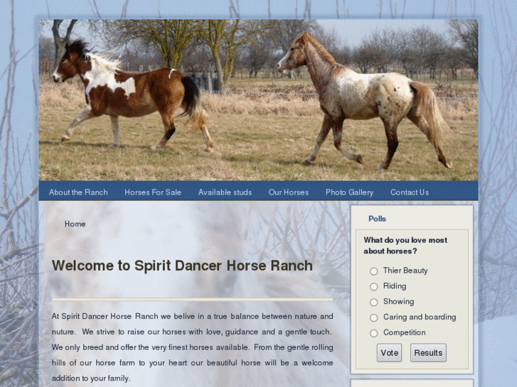 www.spiritdancerhorseranch.com