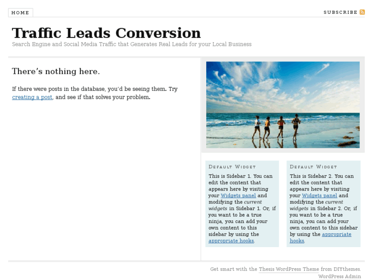 www.trafficleadsconversion.com