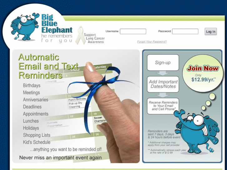 www.bigblueelephant.com