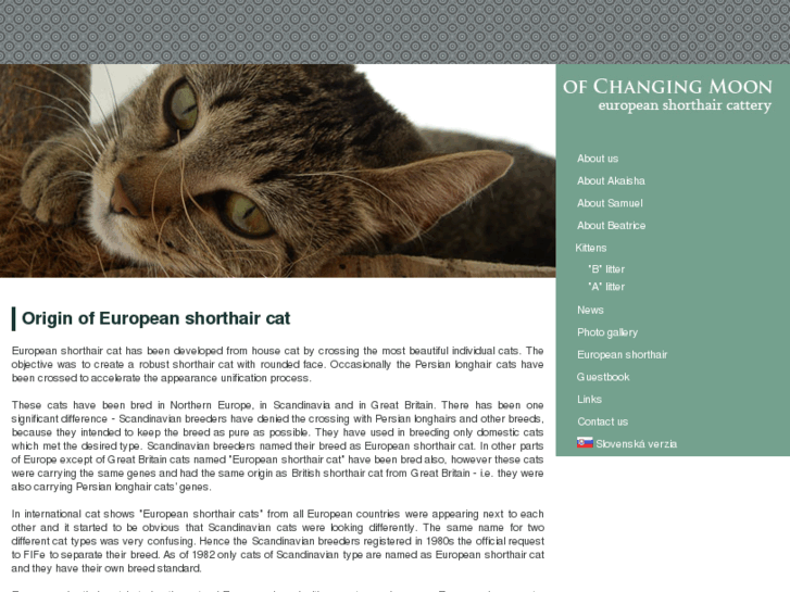 www.europeancats.com