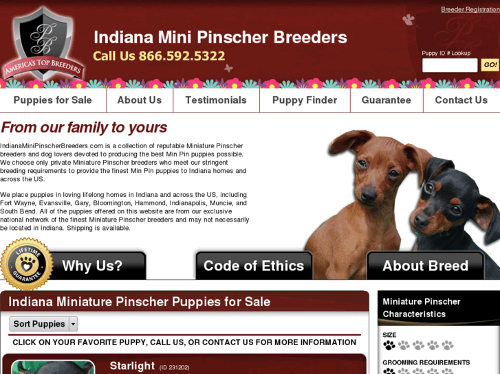 www.indianaminipinscherbreeders.com