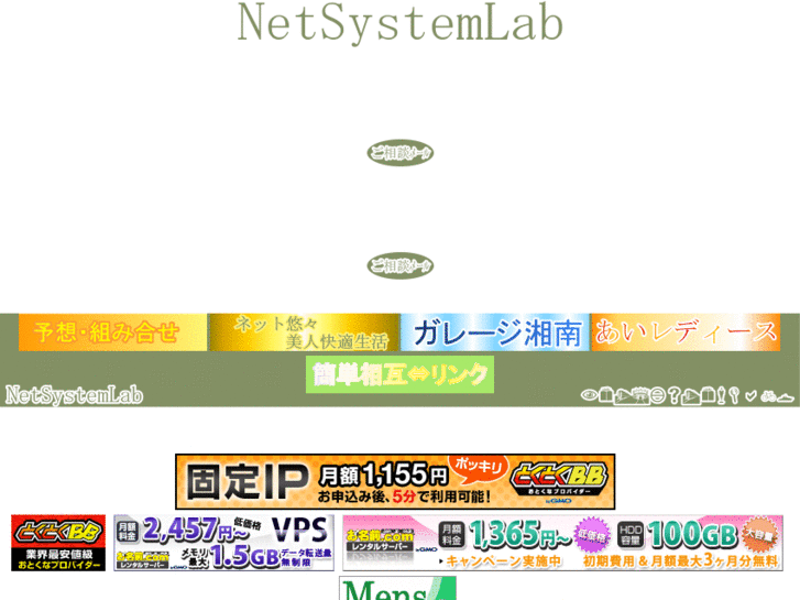 www.netsystemlab.com