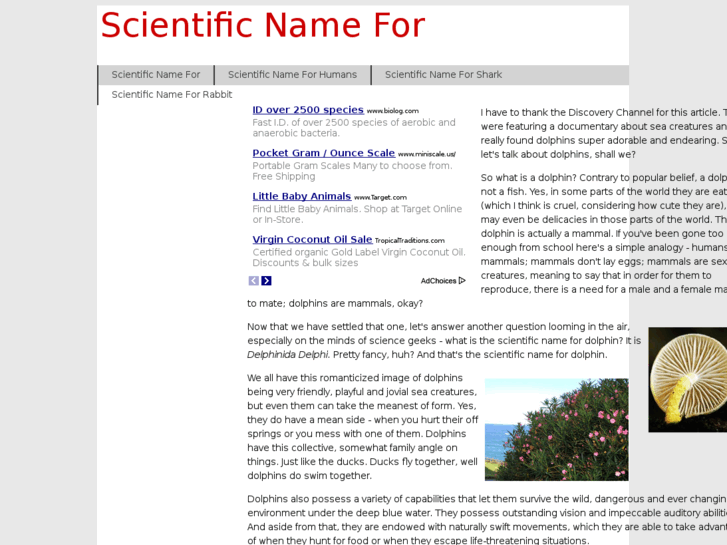 www.scientificnamefor.com