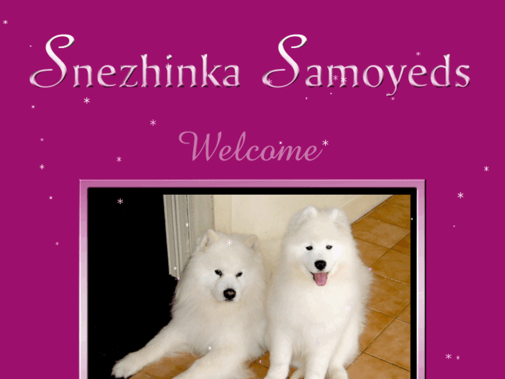 www.snezhinka.com