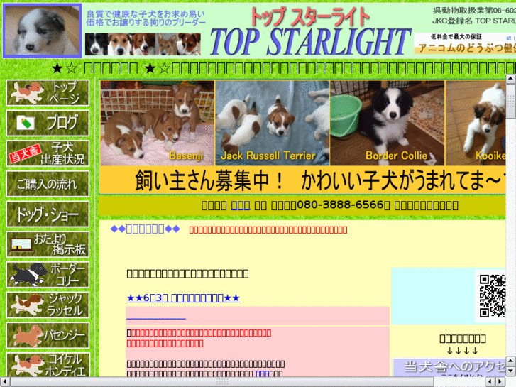 www.top-starlight.com