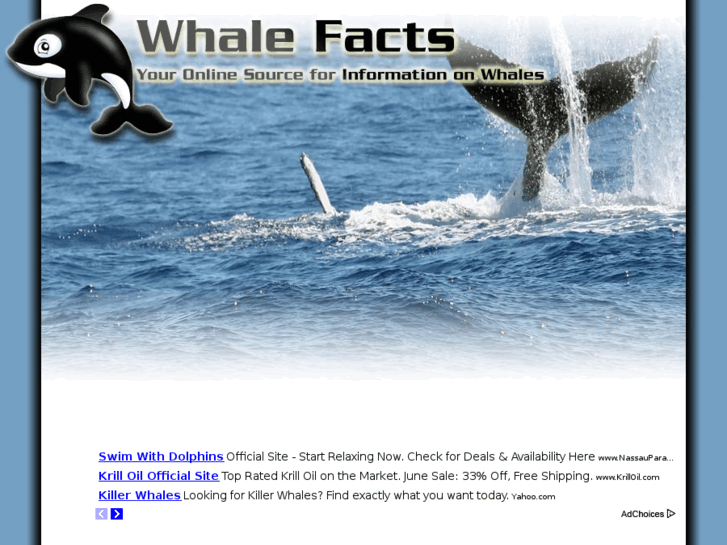 www.whale-facts.net