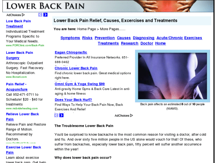 www.lower-back-pain.info