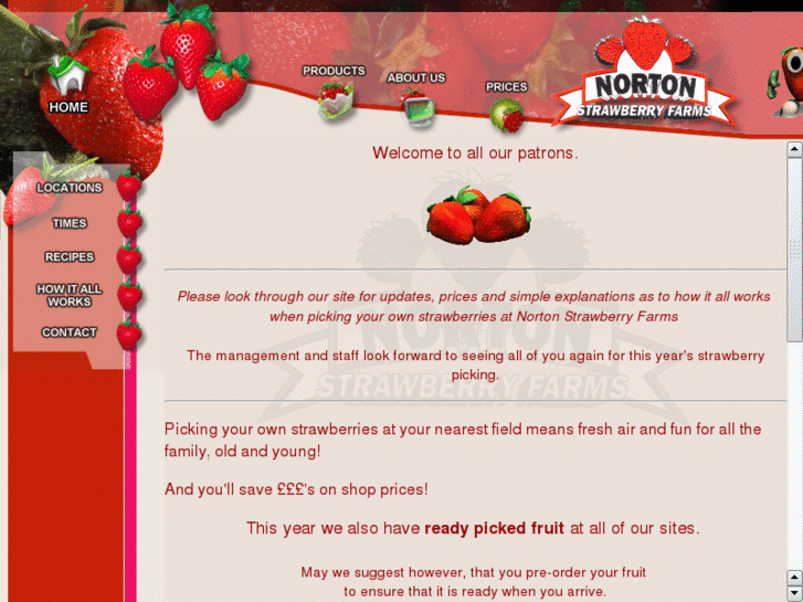 www.nortonstrawberries.com