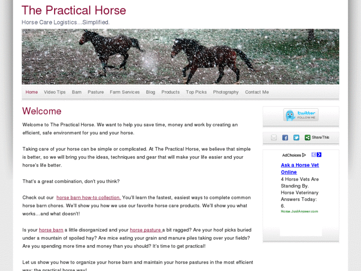 www.thepracticalhorse.com