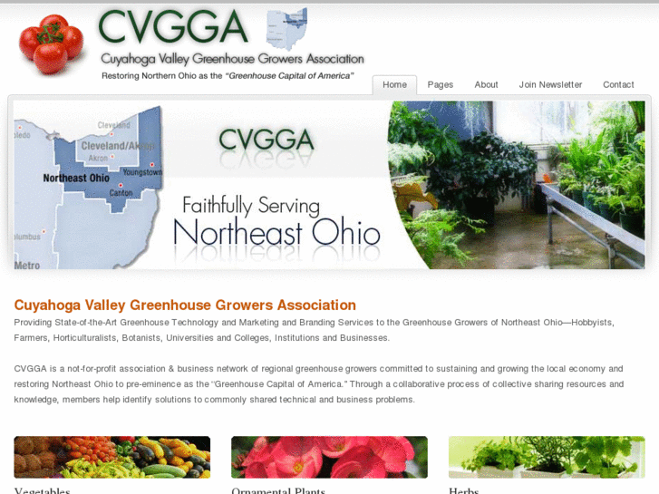 www.cvgga.com