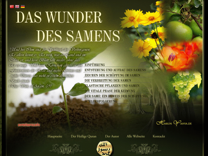 www.daswunderdessamens.com