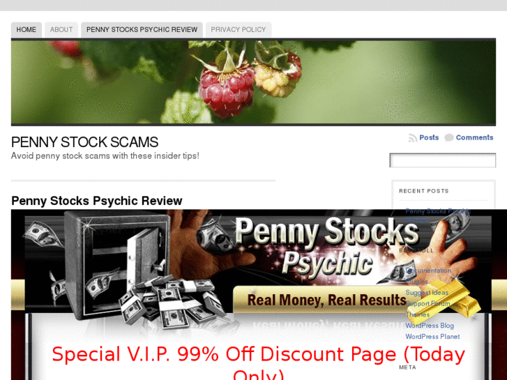 www.pennystockscams.org