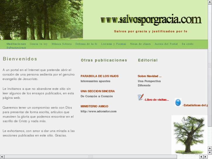 www.salvosporgracia.com