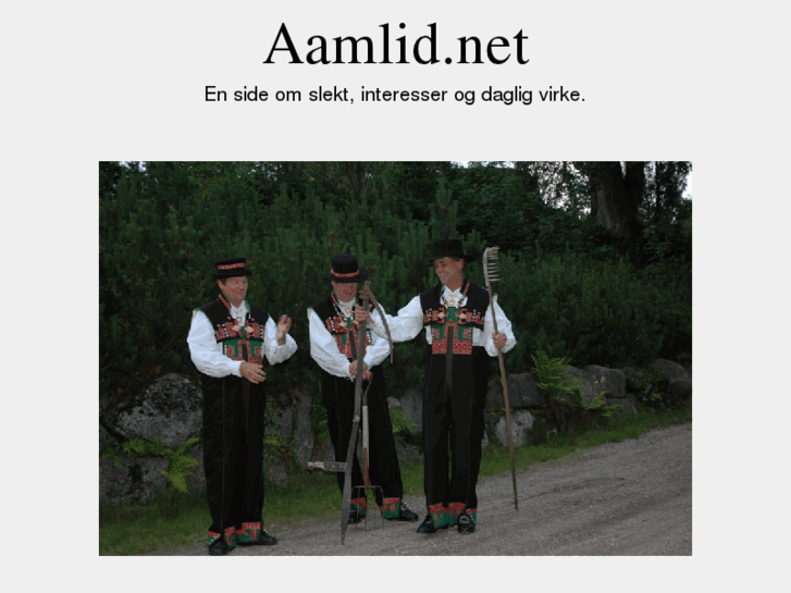 www.aamlid.net