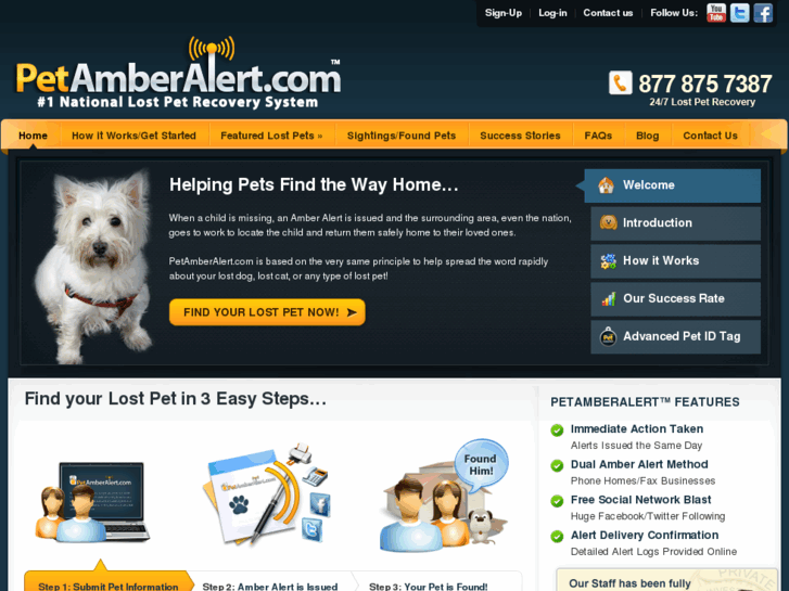 www.amberalertpets.com