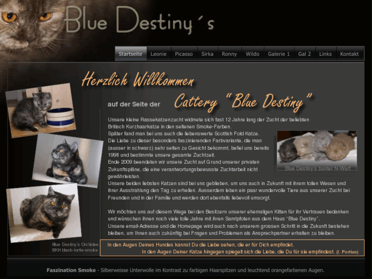 www.bluedestiny.de