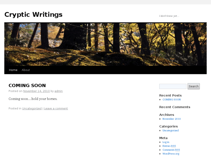 www.crypticwritings.net