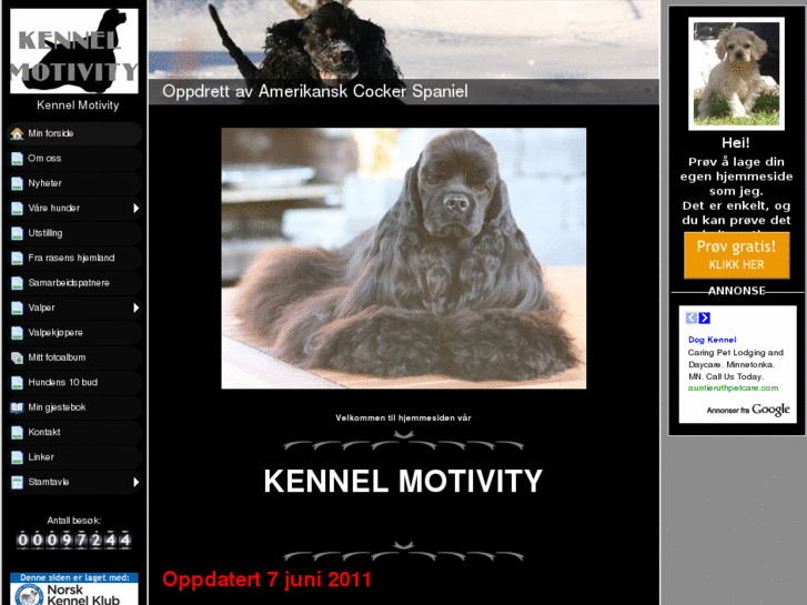 www.kennelmotivity.net