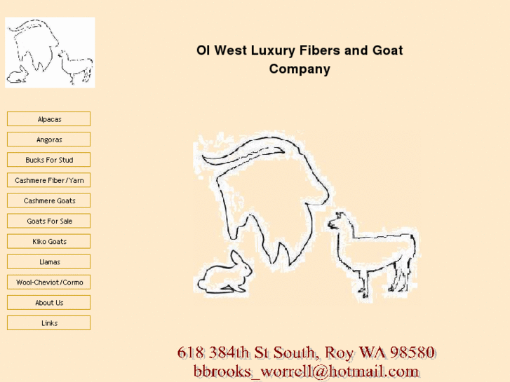 www.olwestfiber.com