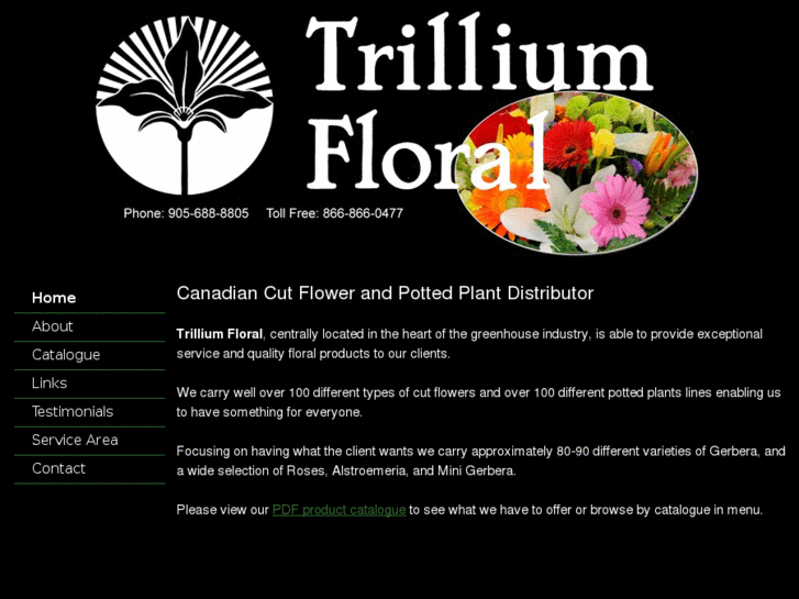 www.trilliumwholesale.com