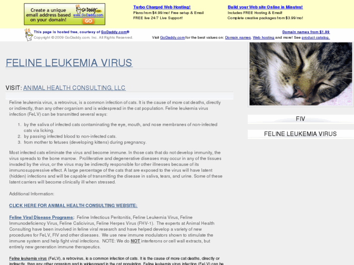 www.felineleukemiavirus.com